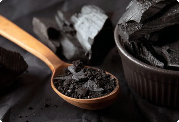 Why Shilajit is Becoming a Modern Wellness Essential