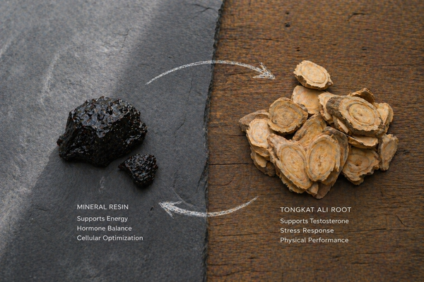 Concept illustration of two herbal supplements taken as a stack