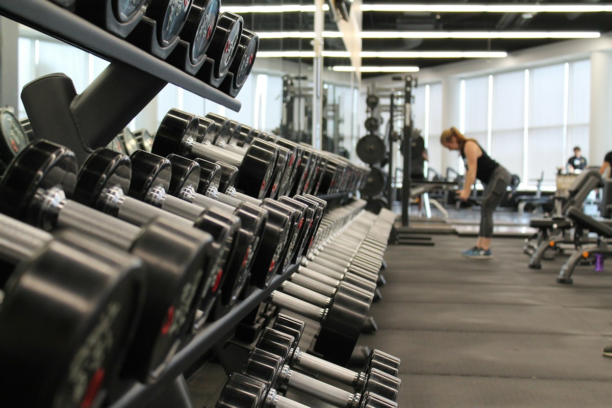 Shilajit And Cholesterol: What The Trials Measured - The Yeti Life