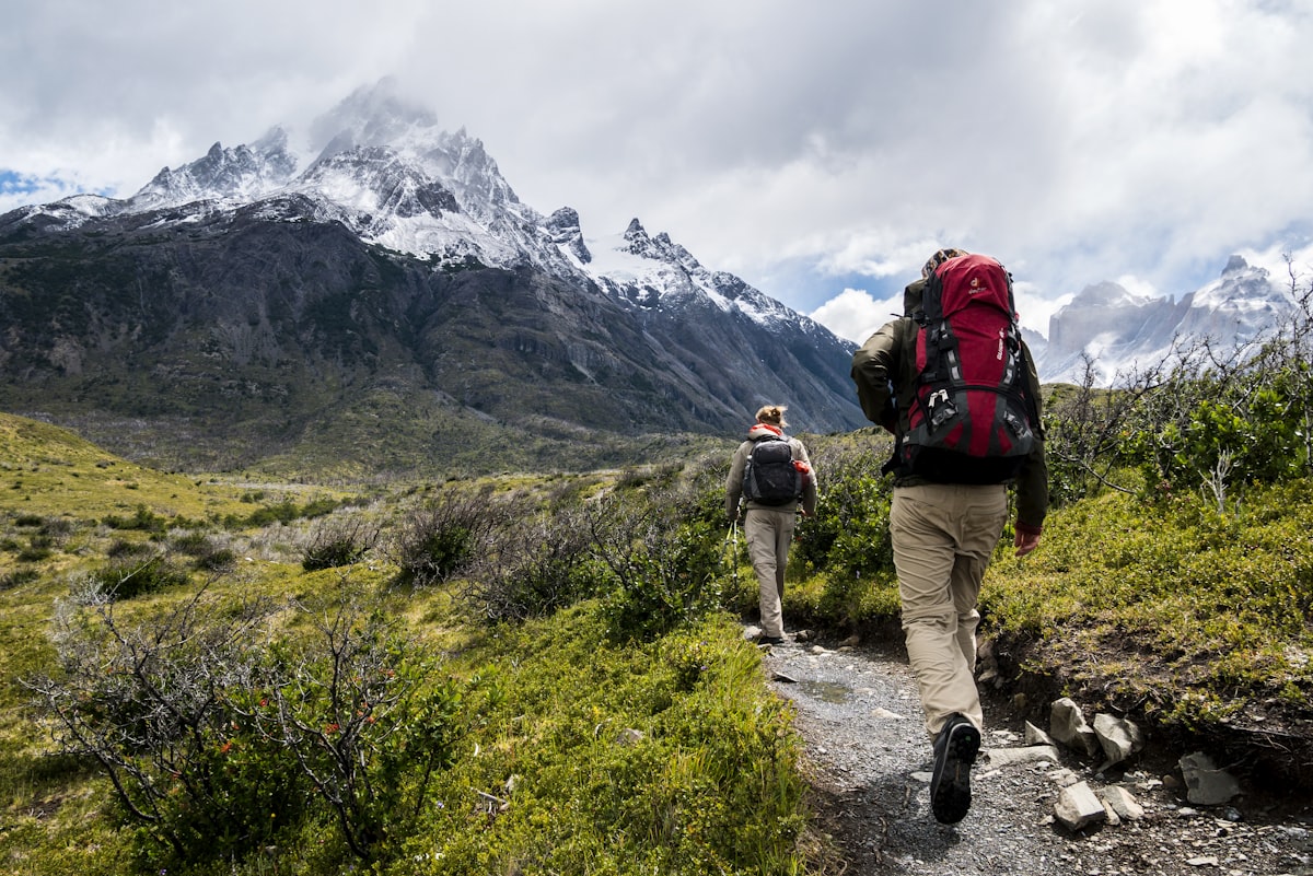 Shilajit For Insulin Resistance Without Diabetes: Prediabetes Protocol - The Yeti Life