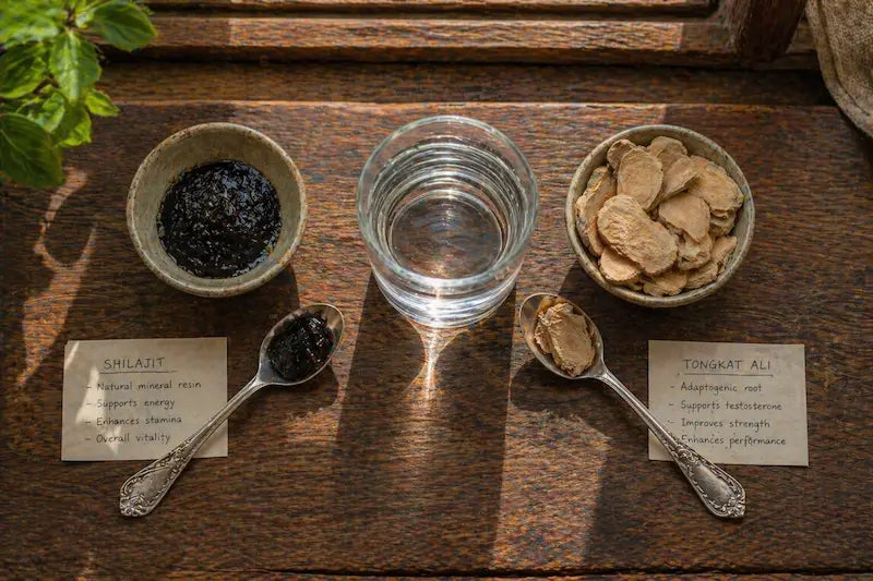 Shilajit resin and tongkat ali root shown together in natural testosterone support stack setup