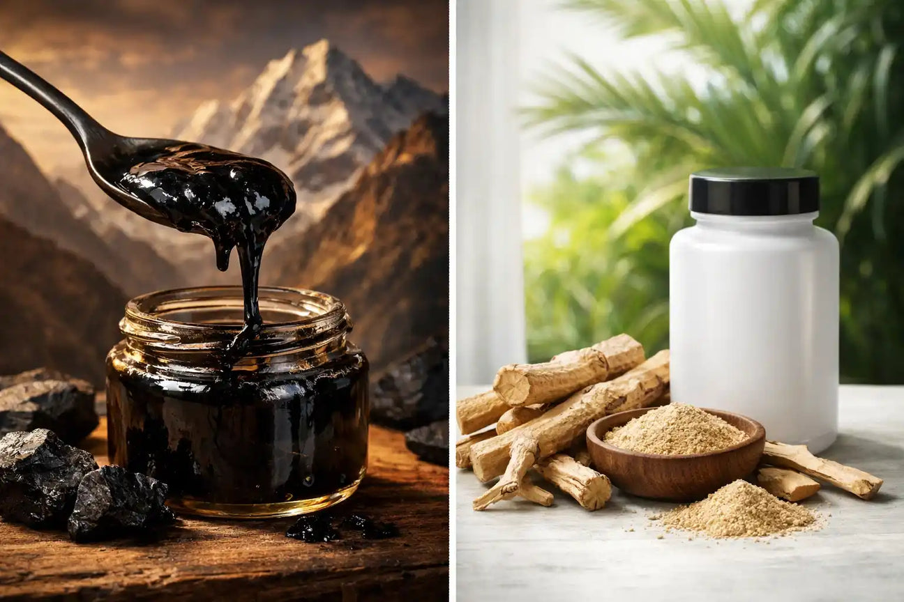 Shilajit vs tongkat ali comparison — natural testosterone boosters