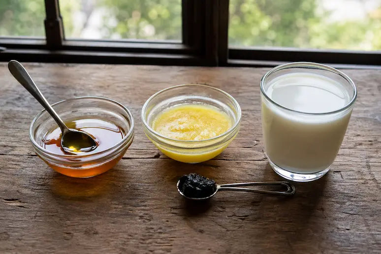 Shilajit resin comparison with honey, ghee and warm milk as traditional Ayurvedic carriers