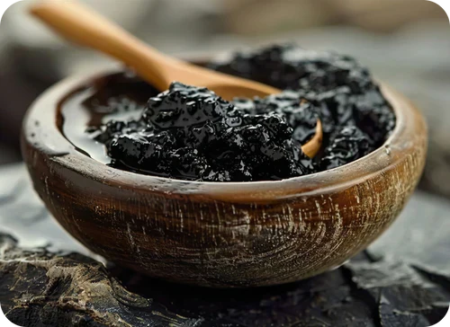 Best shilajit resin India 2026 lab-tested