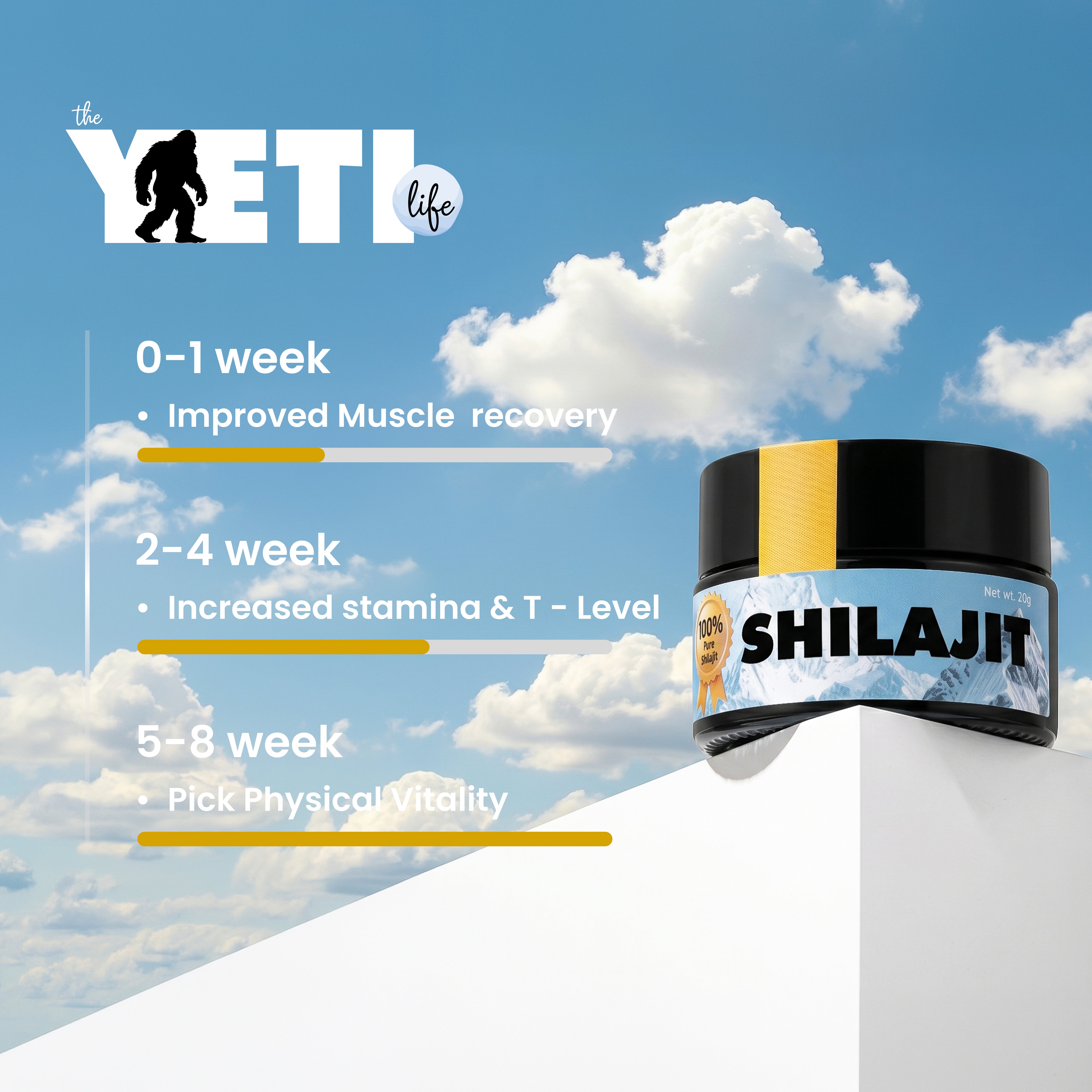 Pure Himalayan Shilajit Resin