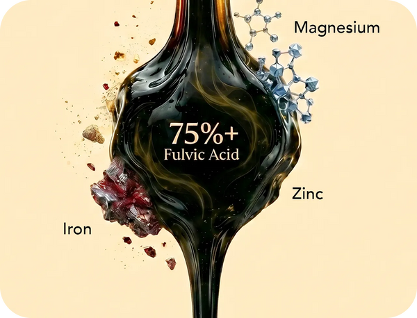 TRACE MINERALS