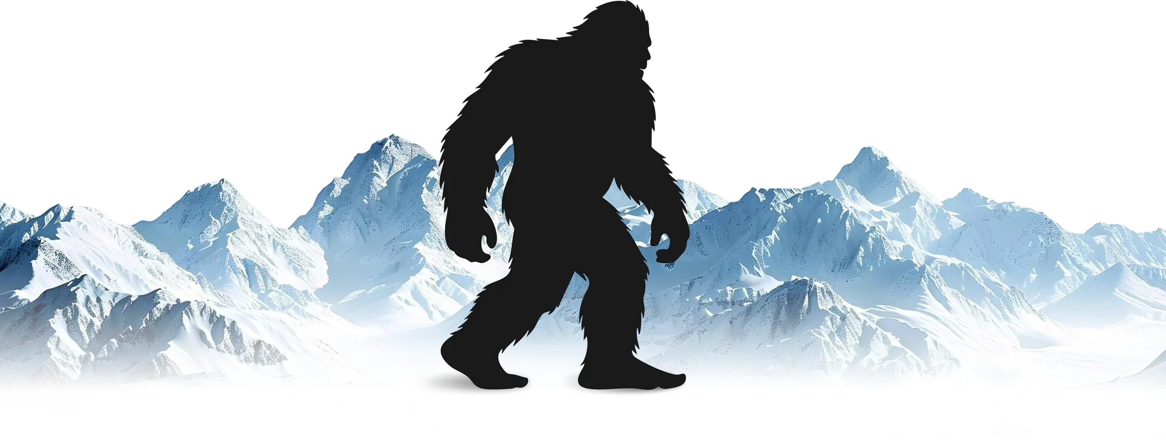 Why The Yeti Life
